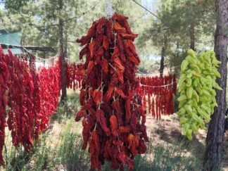 Kale Biberi Kurusu [ BALON BİBERİ ] 1 Dizi (29 Adet) ACI TATLI KARIŞIK (Maksimum satışımız 10 dizidir sabit restoran ve toptan alıcılarımız hariç)