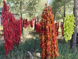 Dolmalık Acı Biber Kurusu 1 Dizi